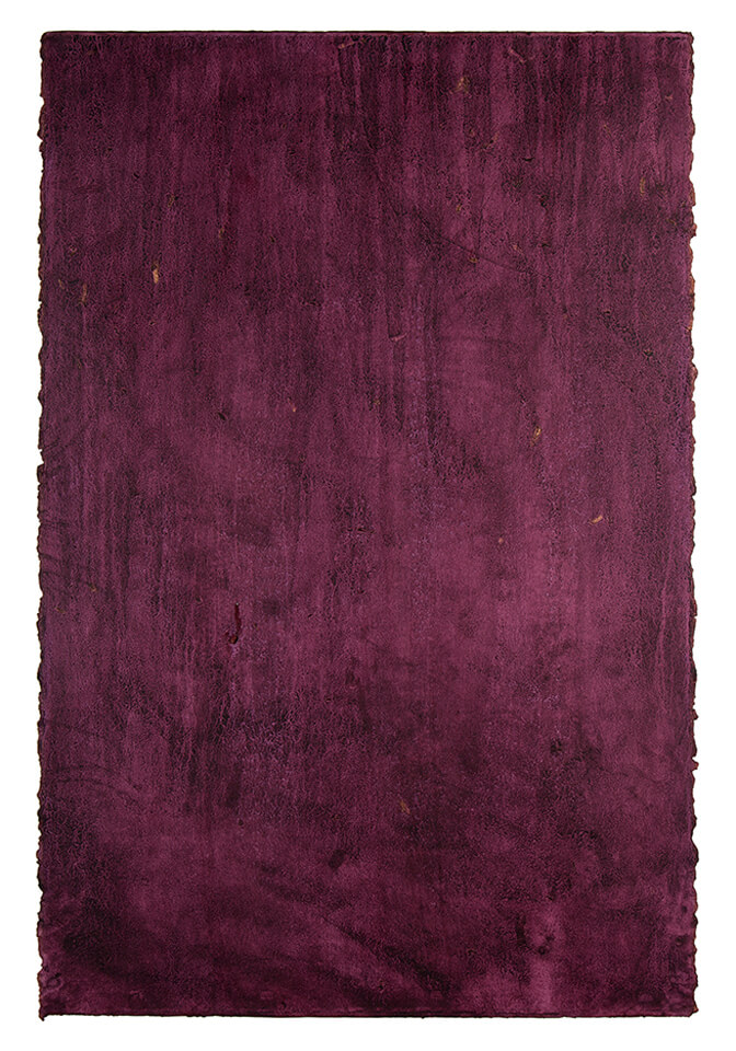 chokanary papel 21.jpg